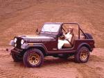Jeep CJ-7 Golden Eagle 1978 года